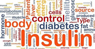 insulin-sensitivity-is-the-key-to-fat-loss