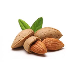 almond_nuts