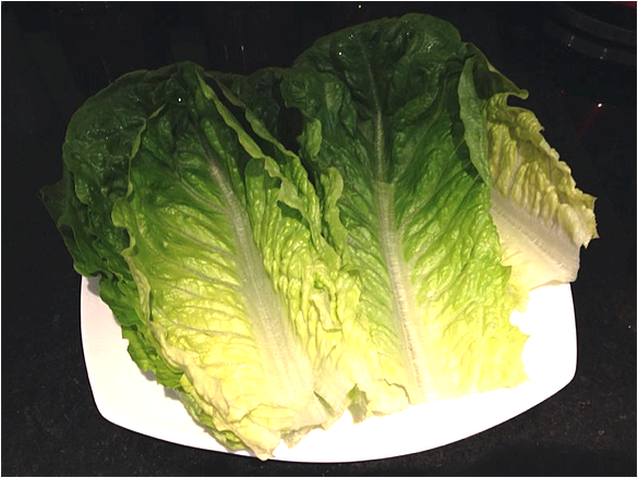 lettuce_wrap