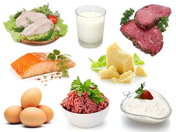 Basics-protein-and-protein-foods.jpg