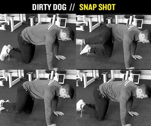 Dirty Dog Snapshot.jpg